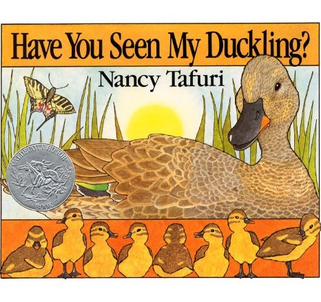 Have You Seen My Duckling?